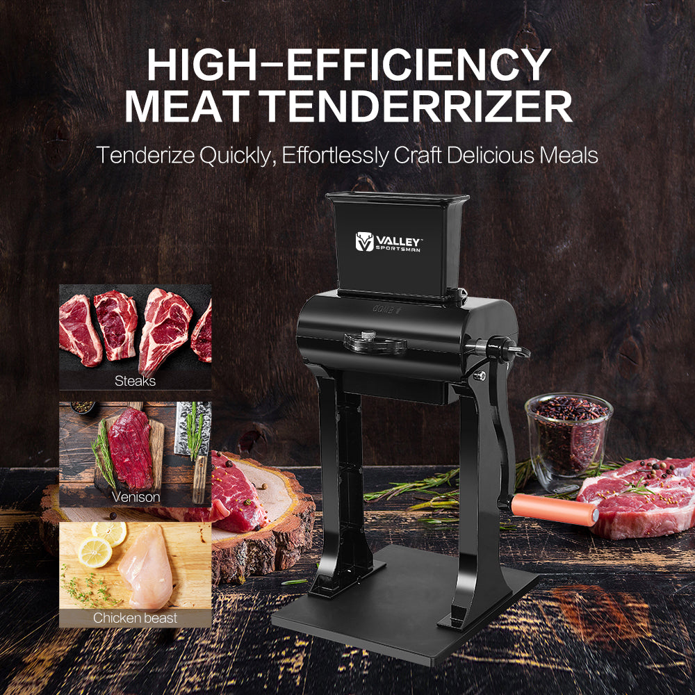 2-in-1 Meat Tenderizer & Slicer, 2 Set of Blades, Countertop-Friendly Size